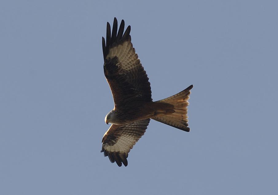 09 02 15 exideuil 2