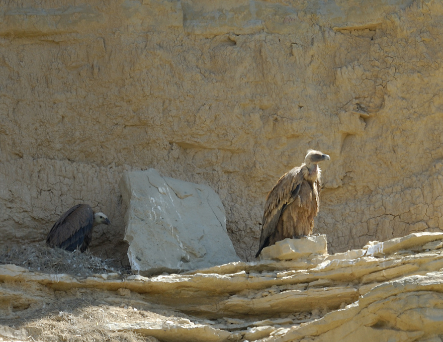 10 05 19 bardenas 3