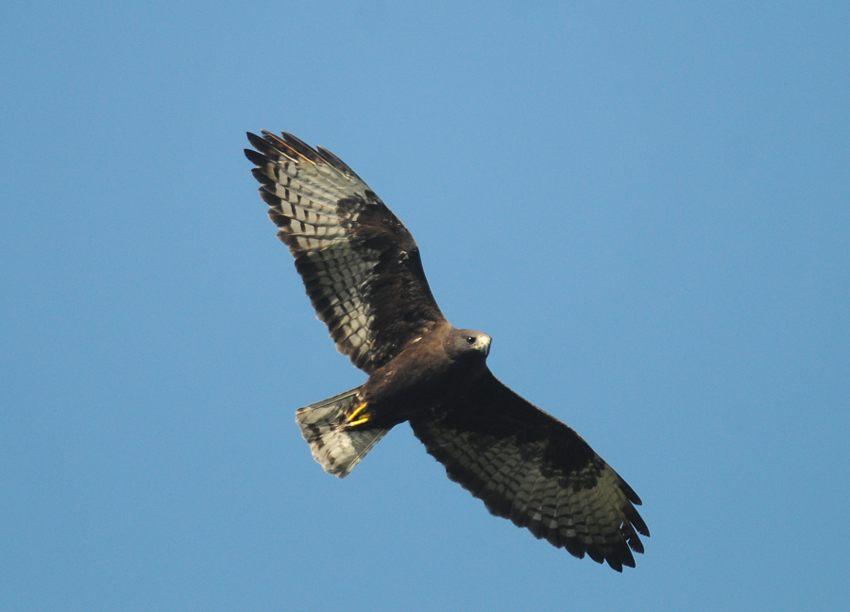 12 01 20 01 12 big cypress bend 01