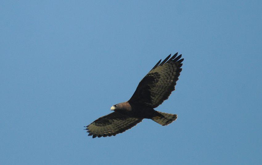 12 01 20 01 12 big cypress bend 02