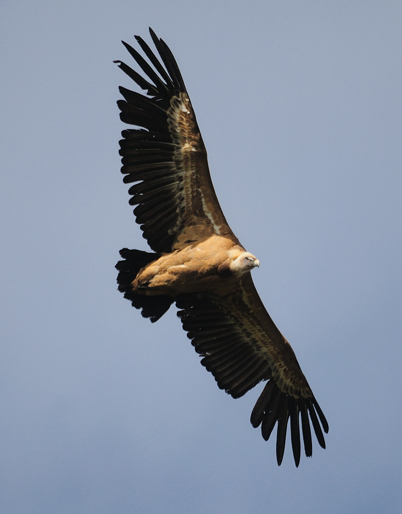 12 04 19 bardenas 2