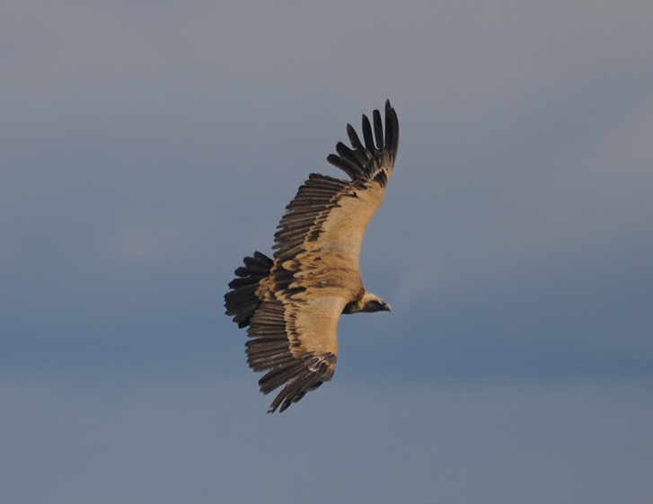 12 04 19 bardenas 3
