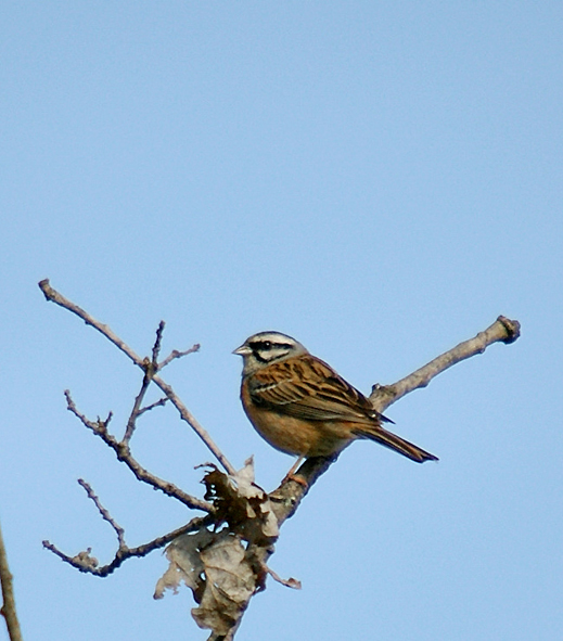 male-06-05-17---Col-de-Vence-2.jpg